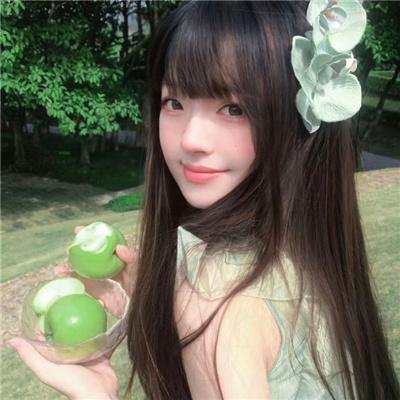 刑事7人 第四季